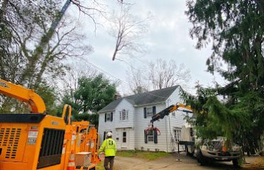 Barts Tree Service