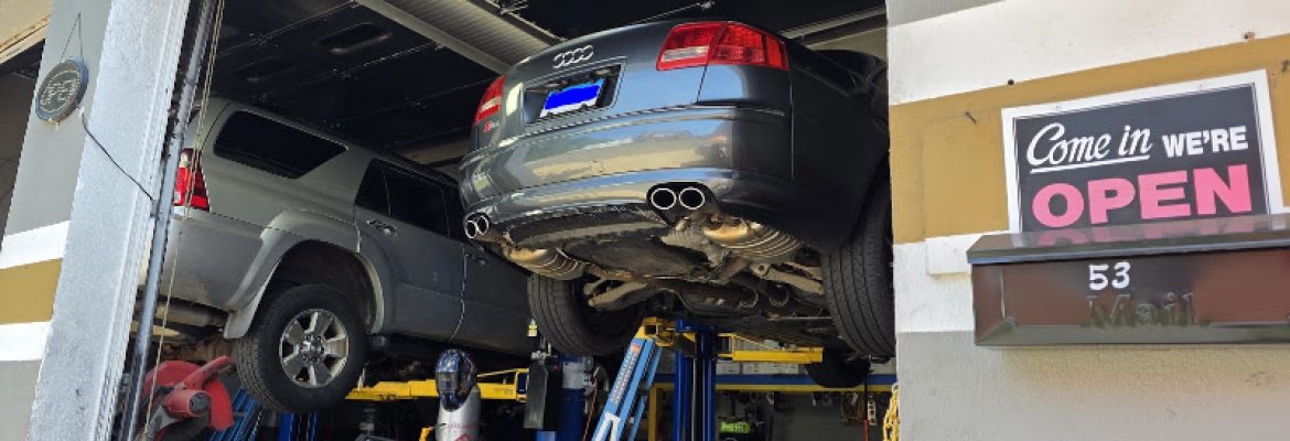 Bristol Discount muffler