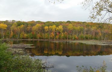 Shelton Dog Park