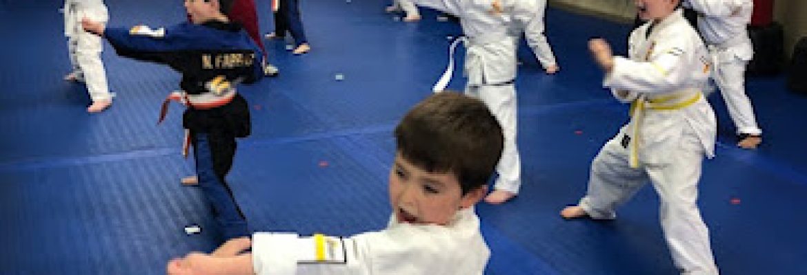 Villari’s Martial Arts Centers – Torrington CT