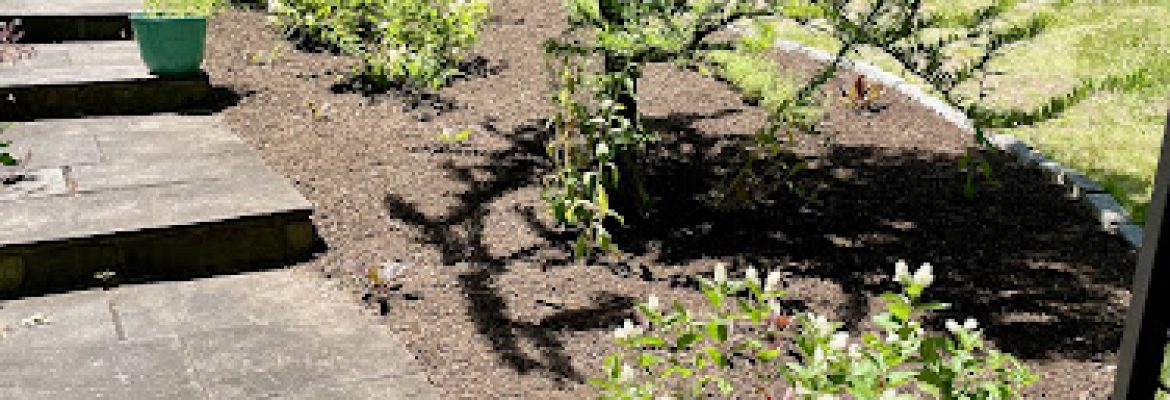 Coastal Landscaping Solutions, LLC