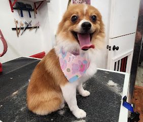 Pawtero