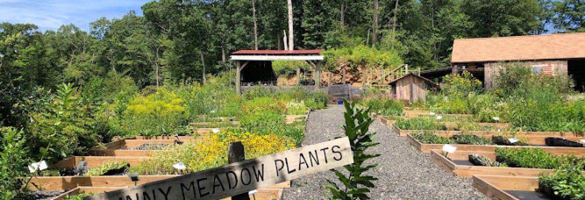 Earth Tones Native Plant Nursery