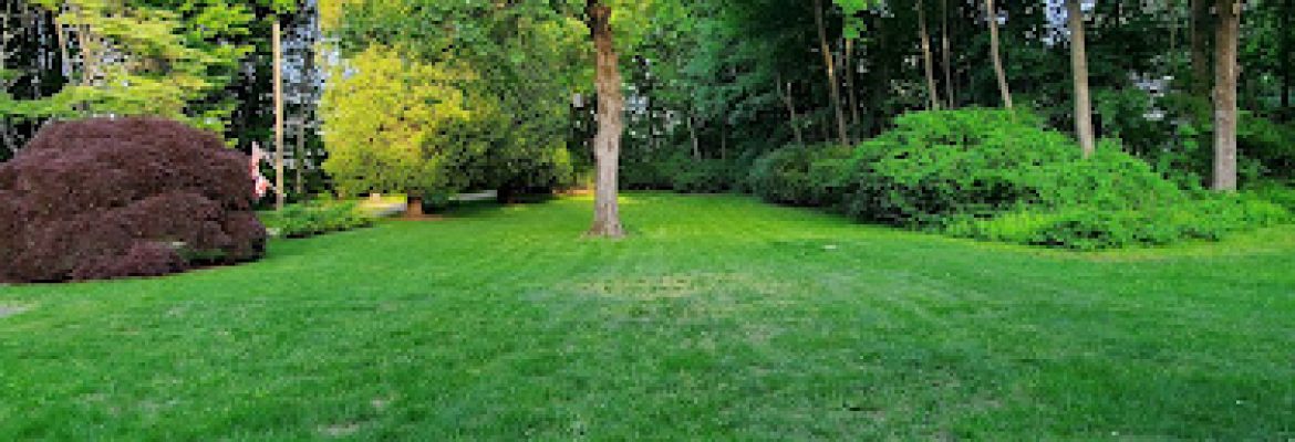 Silverhill Landscaping