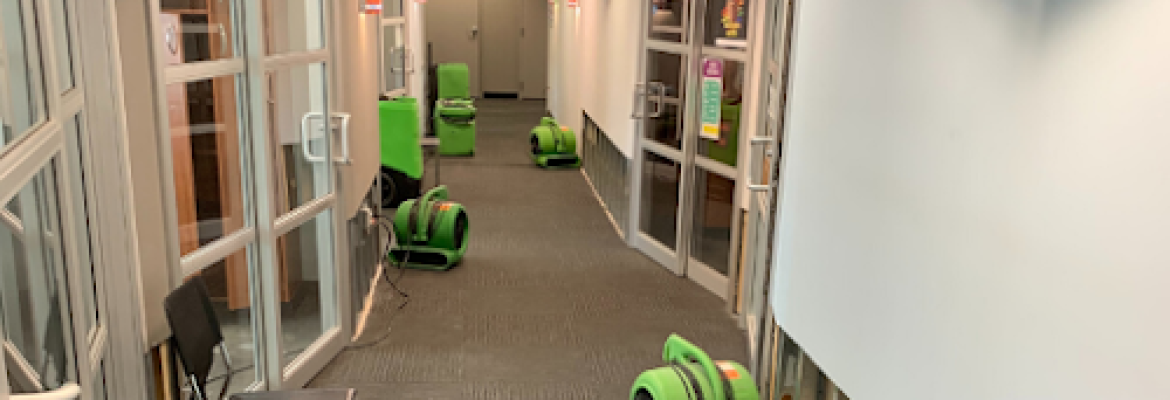 SERVPRO of Meriden