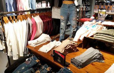 Hollister Co.