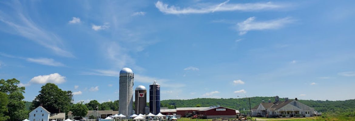Tiffany Farms
