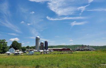 Tiffany Farms