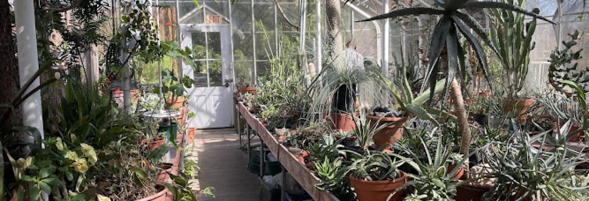 Greenbrier Greenhouse