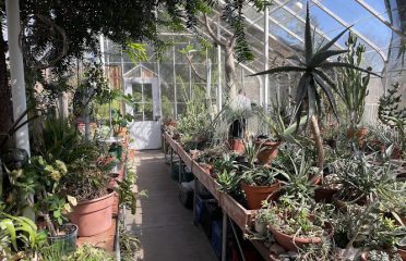 Greenbrier Greenhouse