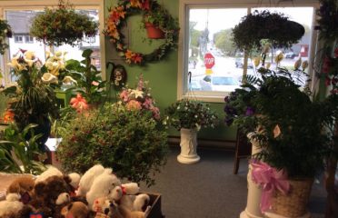 Colchester Florist