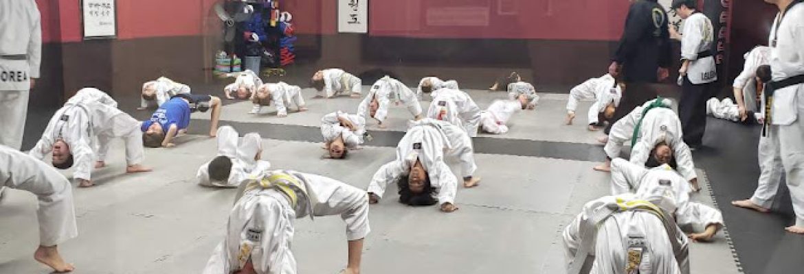 Olympic Taekwondo Academy farmington