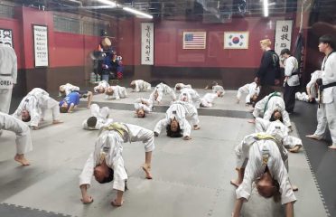 Olympic Taekwondo Academy farmington