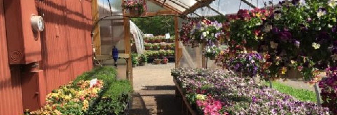 Cold Spring Brook Farm Inc