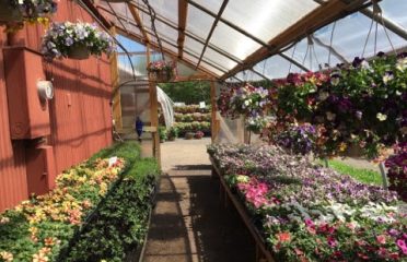 Cold Spring Brook Farm Inc