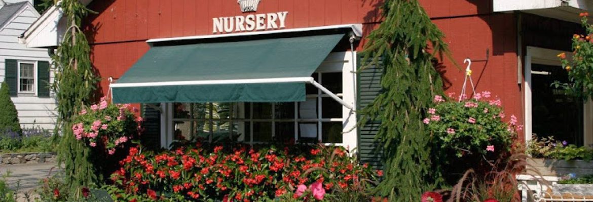 Hollandia Nurseries & Farm