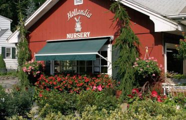 Hollandia Nurseries & Farm