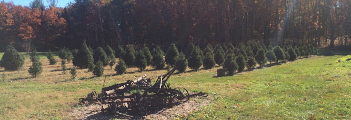 Birchwood Farms