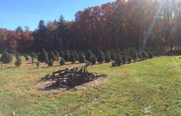 Birchwood Farms