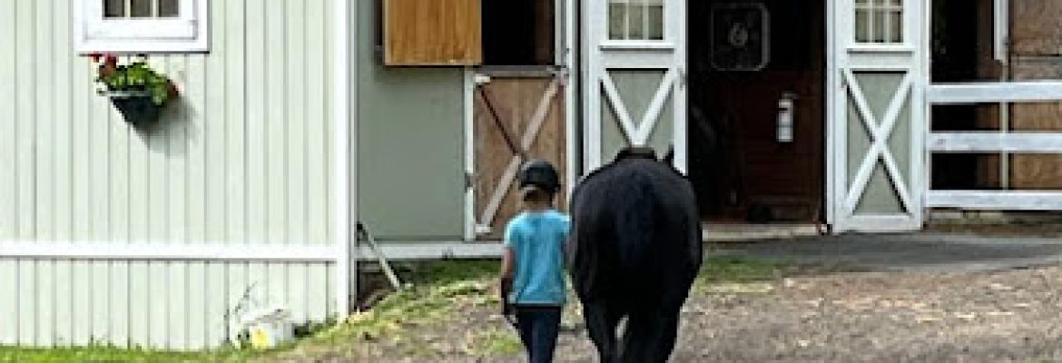 STONECREST FARM