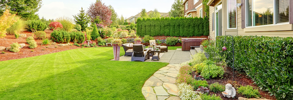 Don’s Tree Removal & Landscaping