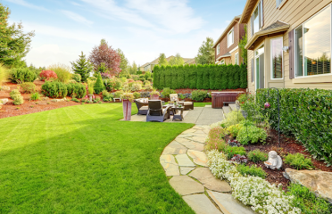 Don’s Tree Removal & Landscaping