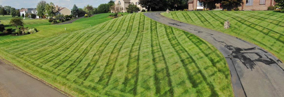 Quality Landscaping Services LLC