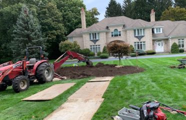 Guzman Tree Removal