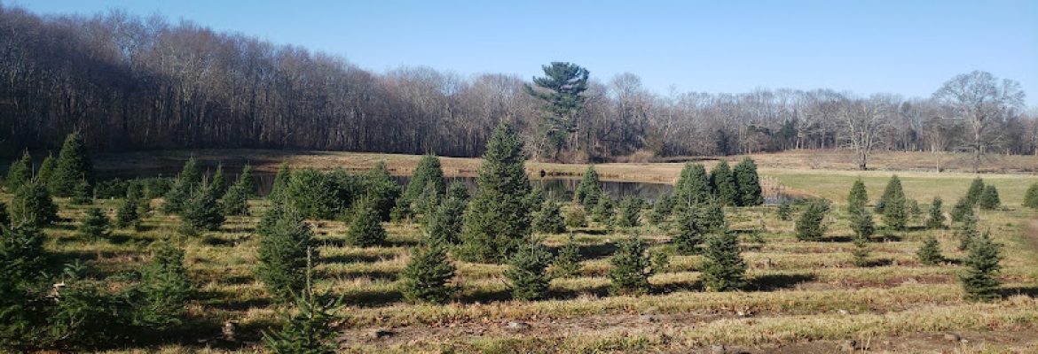 Maple Lane Farms