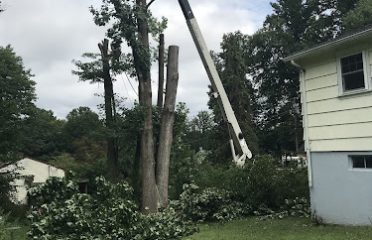 Colonial Tree Service Bristol.