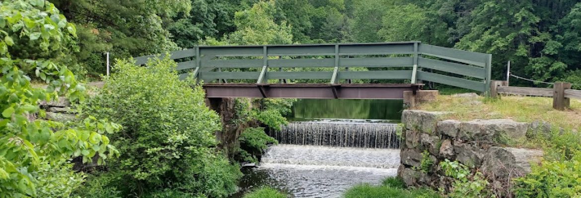 Town Forest Park