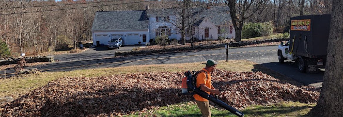 AJP Landscaping LLC