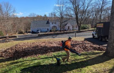 AJP Landscaping LLC