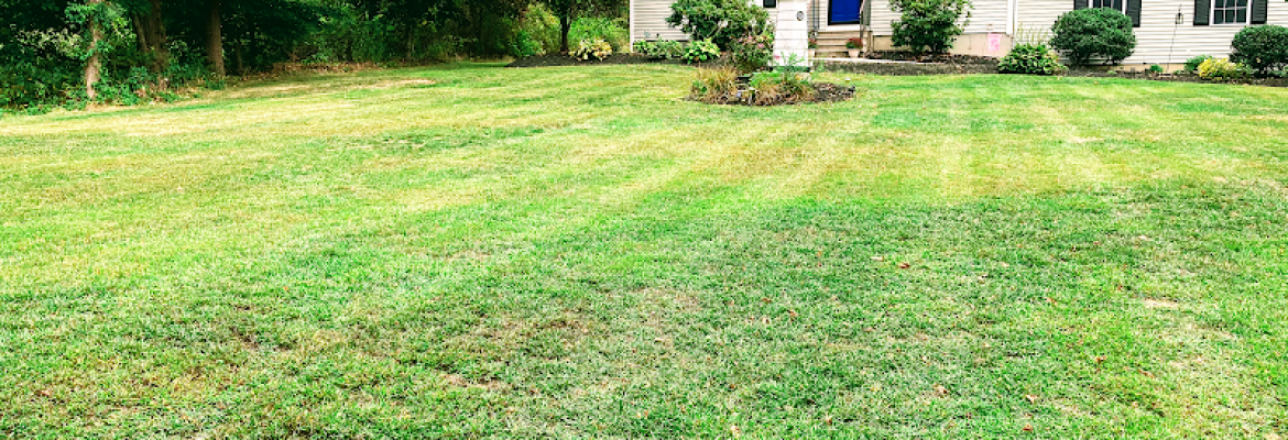 Best Landscaping
