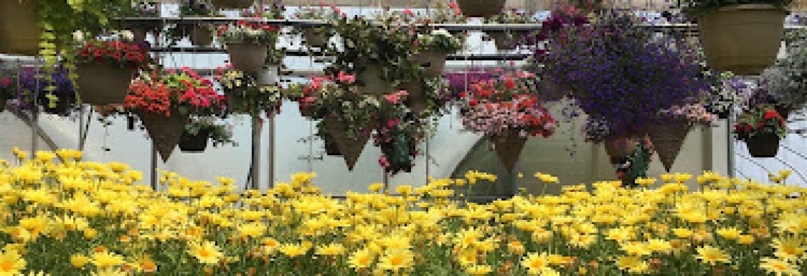 JC Farm and Greenhouses LLC