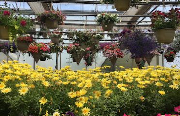JC Farm and Greenhouses LLC