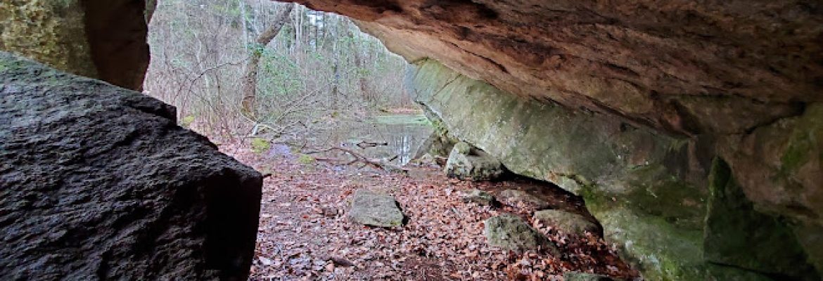 Dinosaur Caves