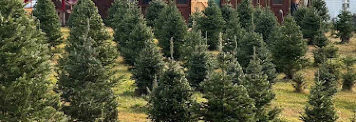 The Fir Patch Farm