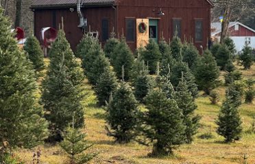 The Fir Patch Farm