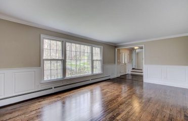 Pavani Painting, LLC