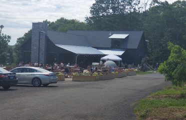 Rose Vineyards