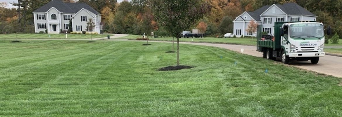 American Landscape and Lawn Science