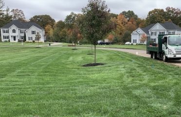 American Landscape and Lawn Science