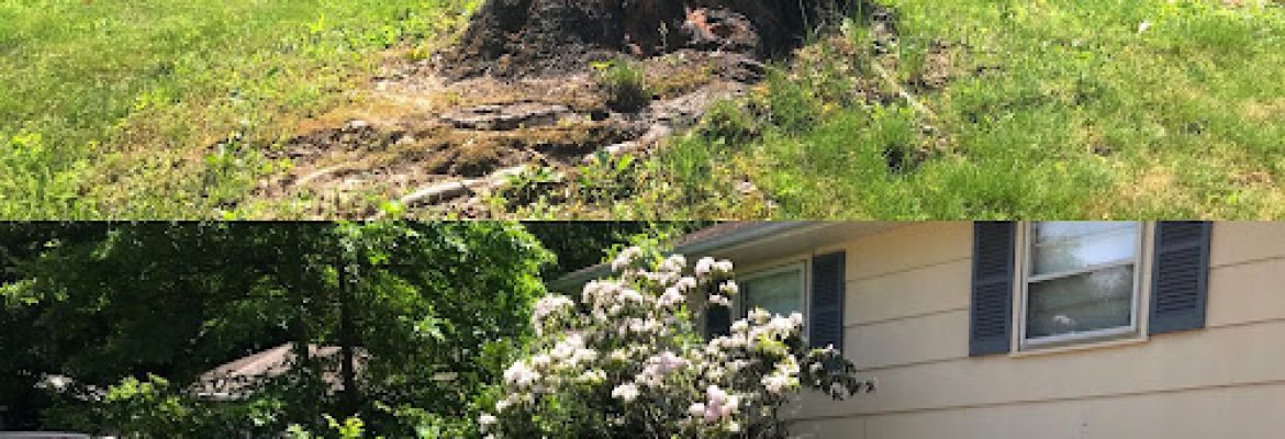 Stump “OFF” LLC Stump Grinding