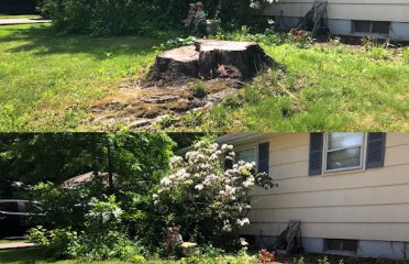 Stump “OFF” LLC Stump Grinding