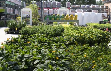 Garden Center at The Home Depot