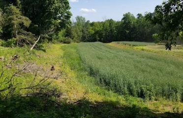 Gazy Brothers Farm