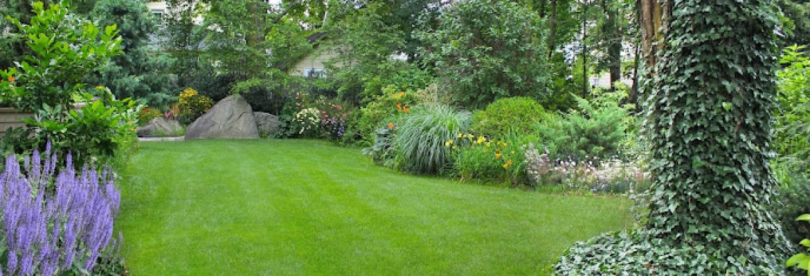 Lawn Dawg