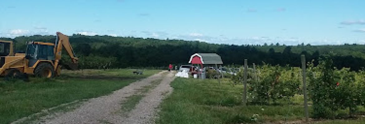 Johnny Appleseed Farm (Orchard)