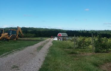 Johnny Appleseed Farm (Orchard)